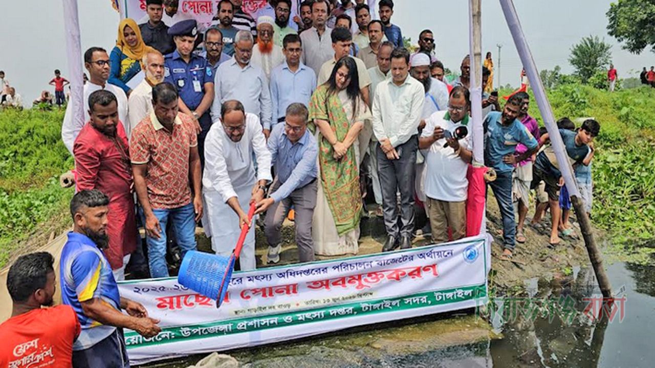 টাঙ্গাইলে মাছের পোনা অবমুক্তকরণ উদ্বোধন