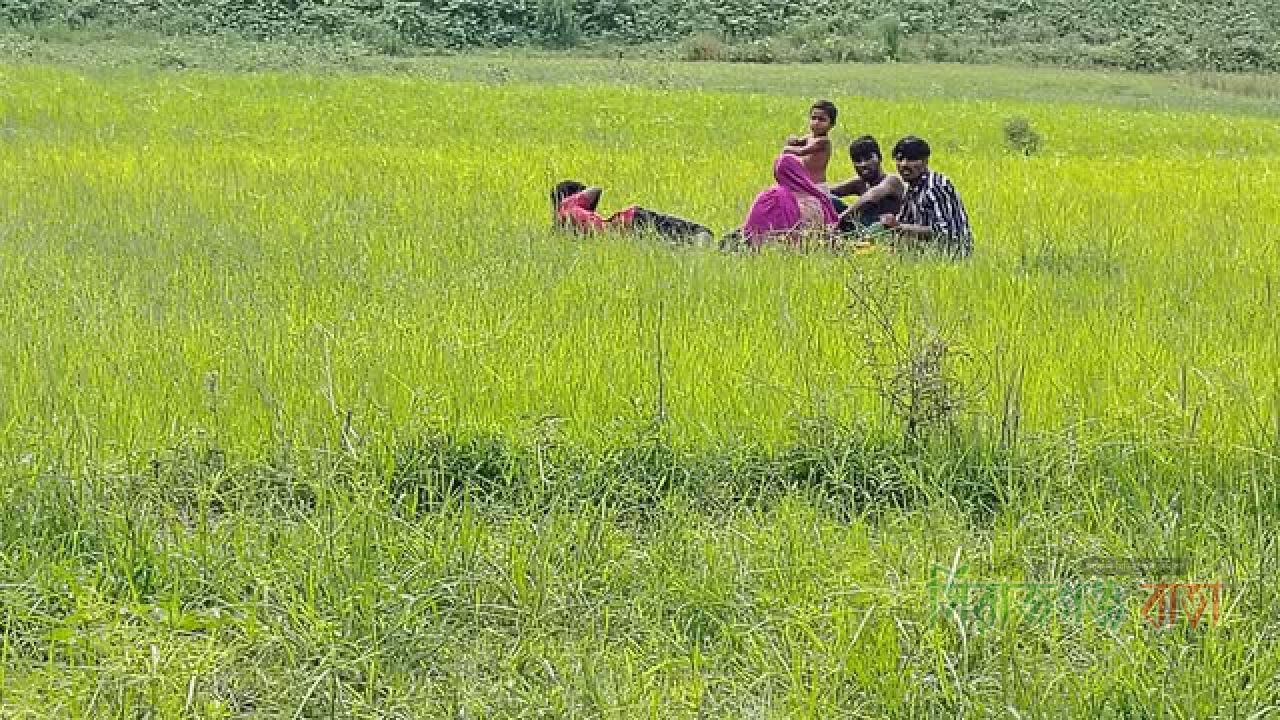 রৌমারী সীমান্তে ৫ জনকে পুশইন